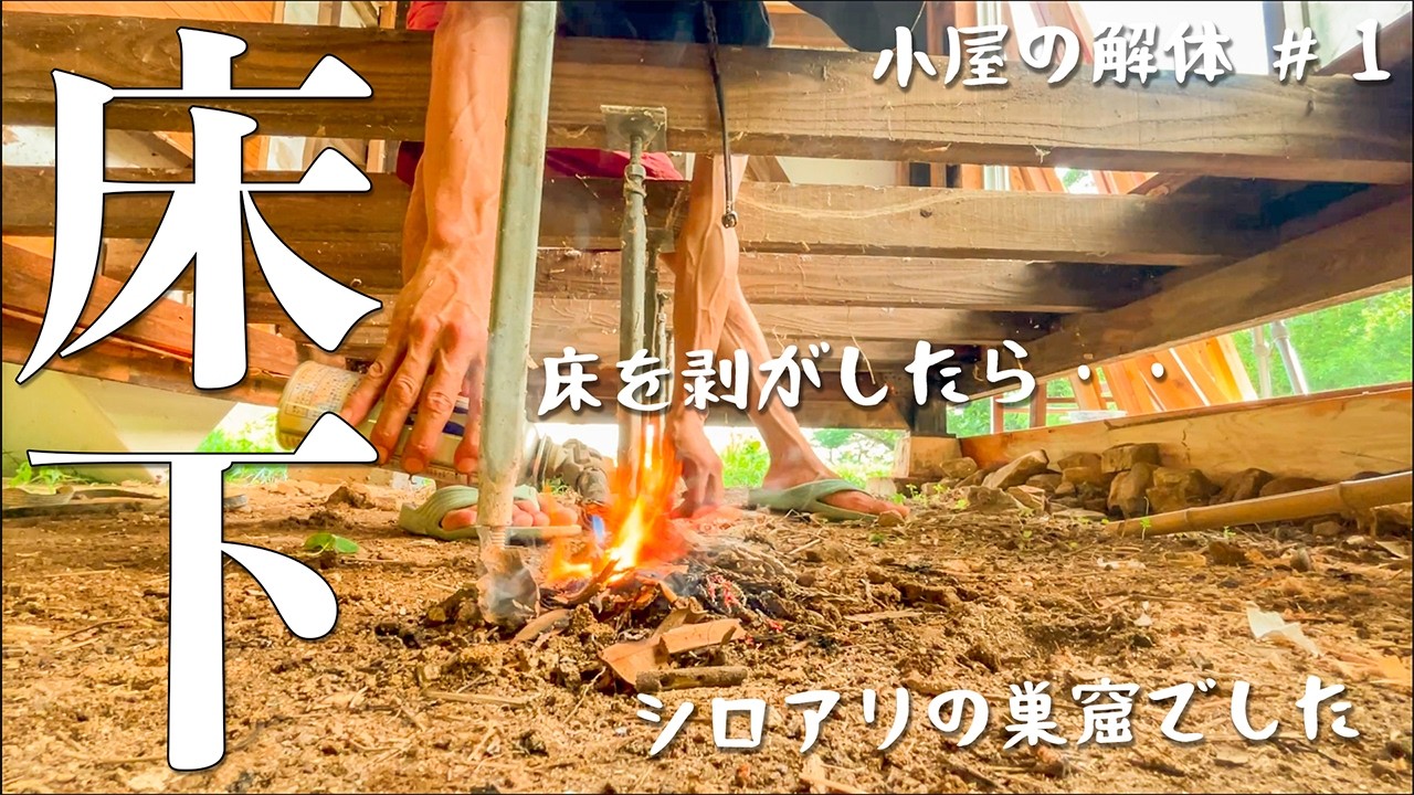 【床解体】小屋がシロアリに食べられています。#267