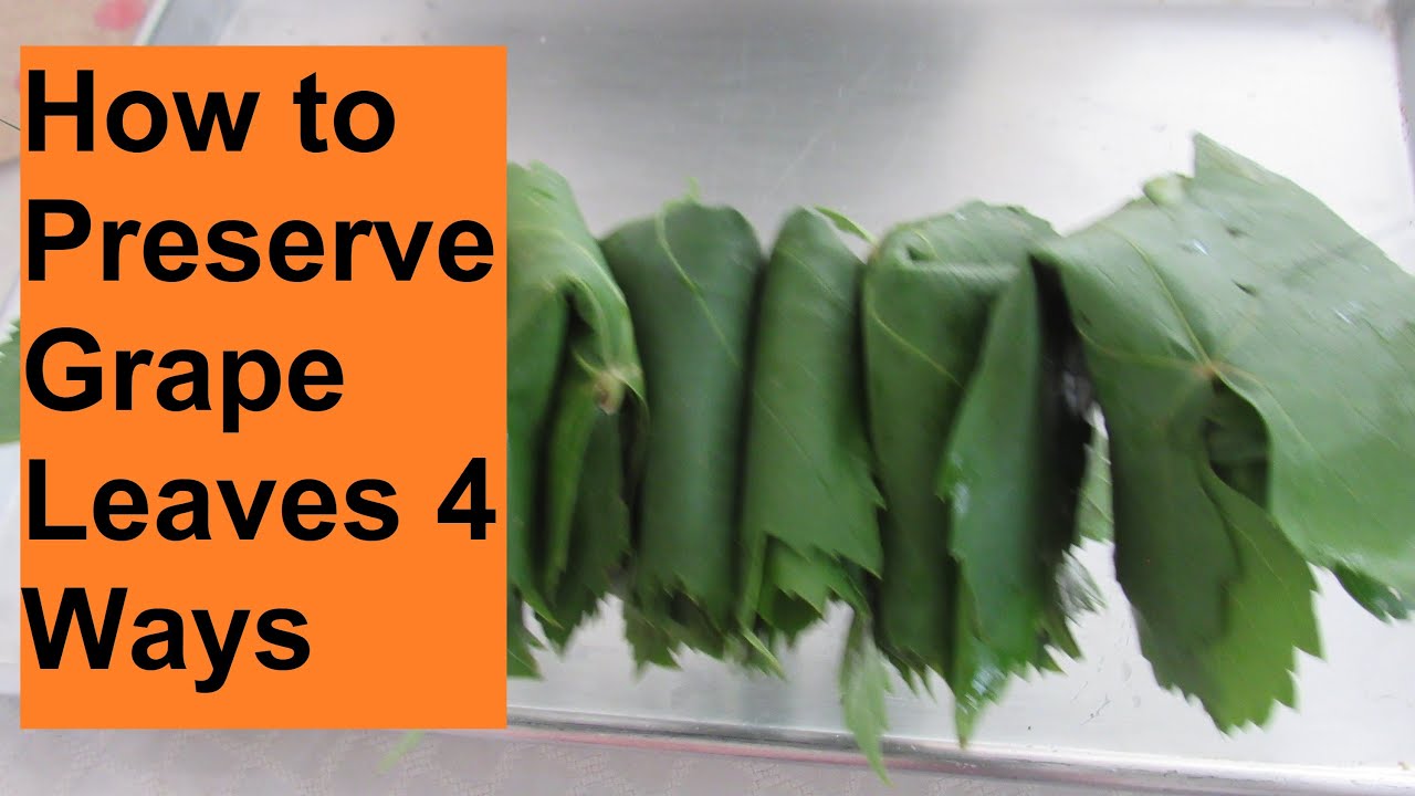How to Preserve Grape Leaves 4 Ways