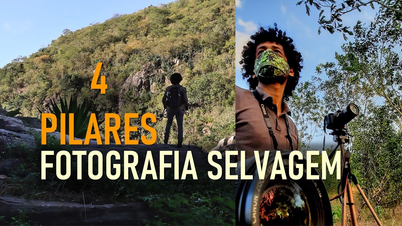 Fotografia de Natureza - O Mais Importante de Tudo!
