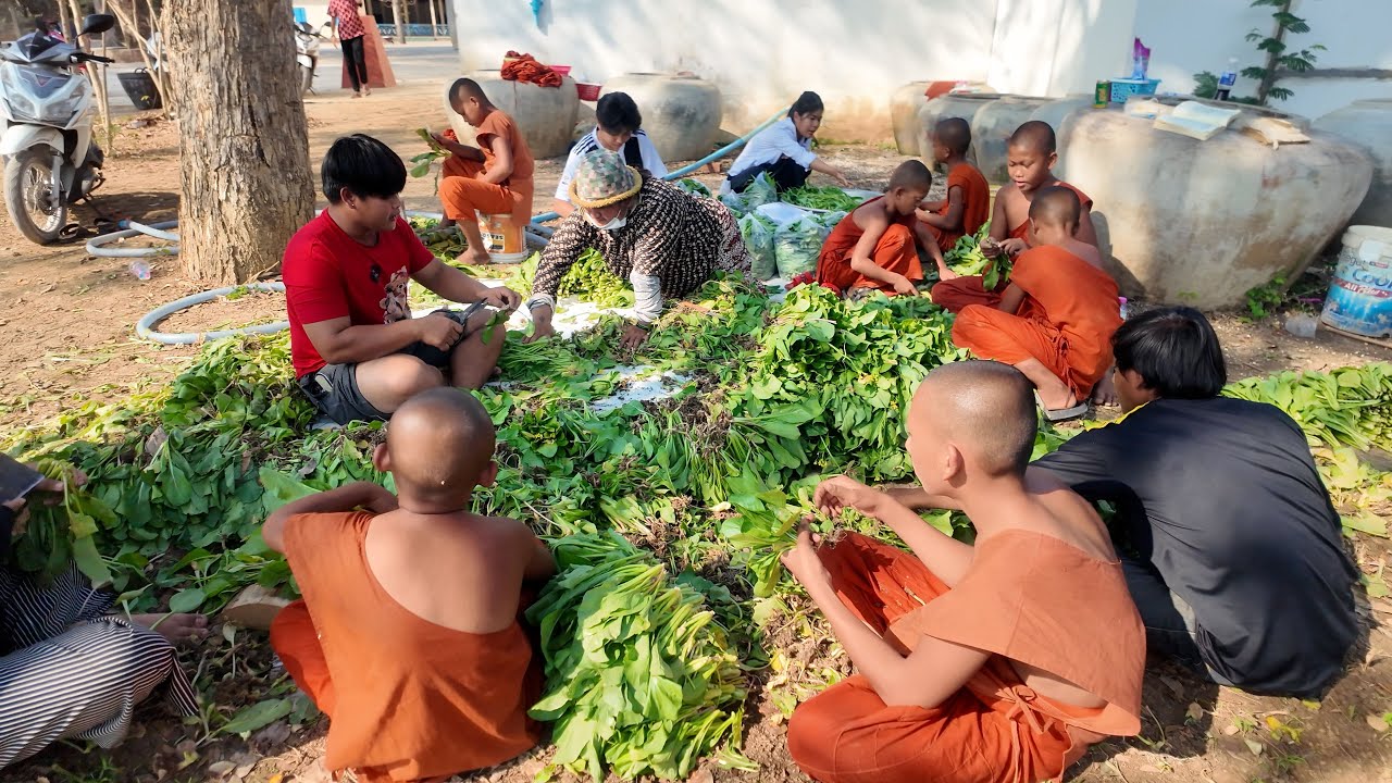 កាត់បន្លែយកទៅជូនកងទ័ពជួរមុខ