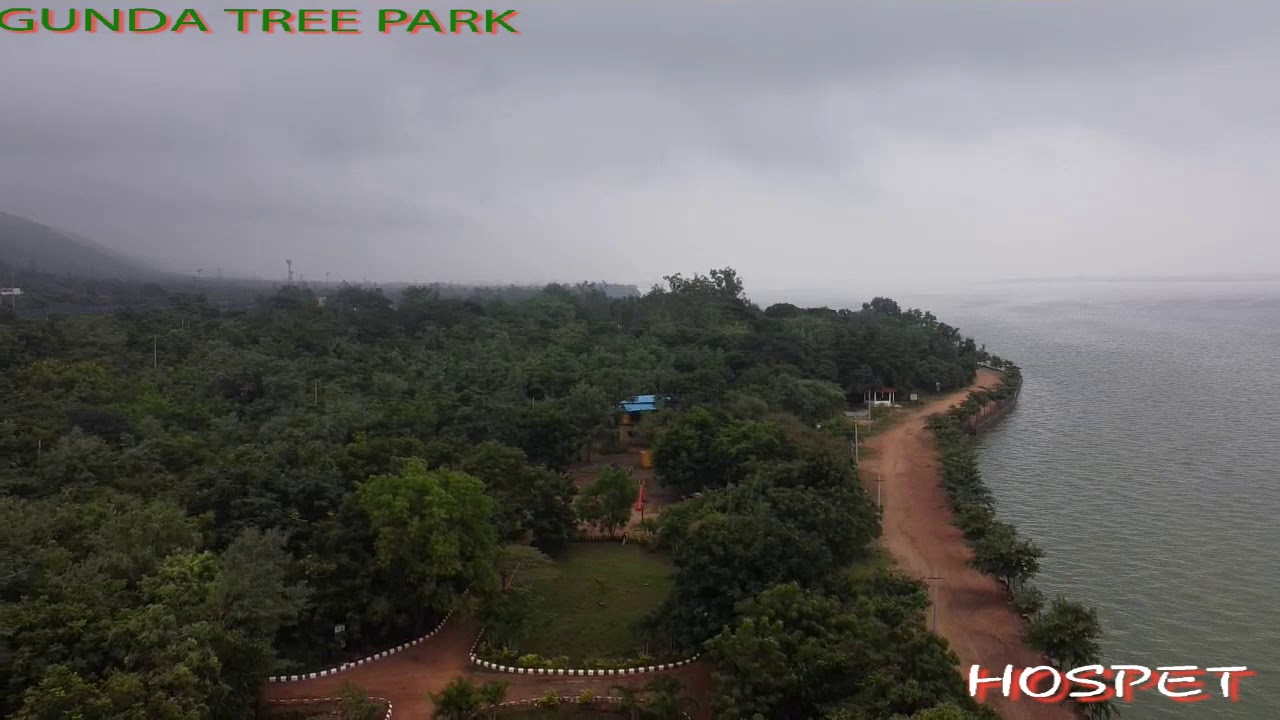Gunda Forest Tree Park
