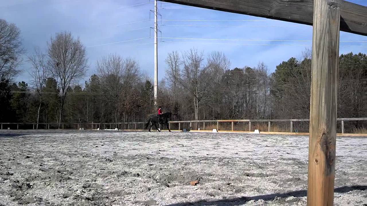 Ollie watching mine & tesa's lesson(: