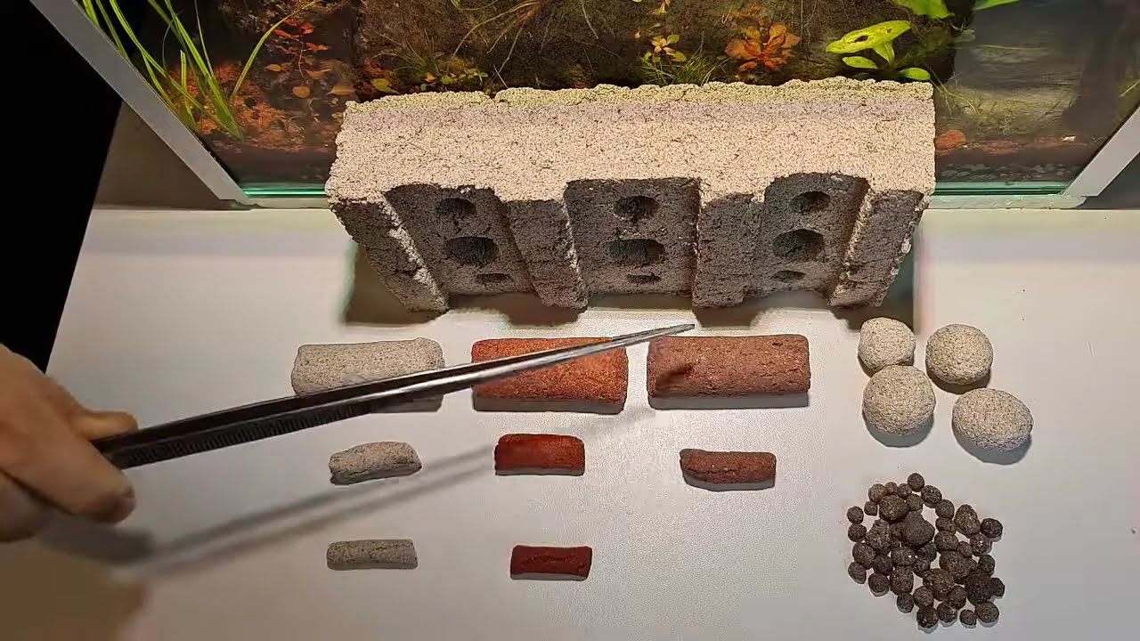 Biohome komplett erklärt. Alle Sorten, Anwendungsbeispiele, Erfahrungen, Fragen und Antworten