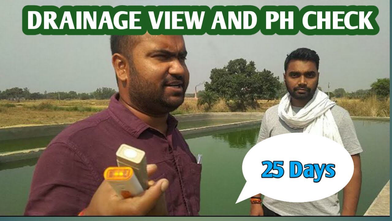 Cement tank update and PH check after 25 days and drainage view!!
