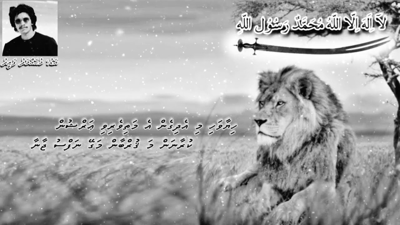 Shaheedhehge Gothugaa | Mohamed Fareed | Lyrical Video | Vocals Only | 3rd July 2022 |