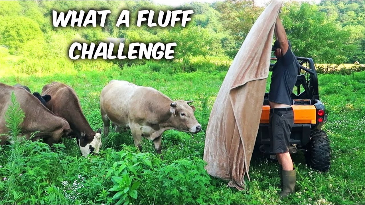 What the Fluff? - Magic Trick with My Pets
