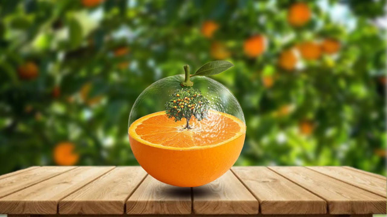 Best Photoshop Manipulation Technique | Free Photoshop Tutorial #Ali_Ahammed_Ripon