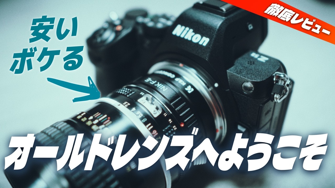 Использование объектива 50-летней давности с Nikon Z5II [Ai Nikkor 105mm F2.5]