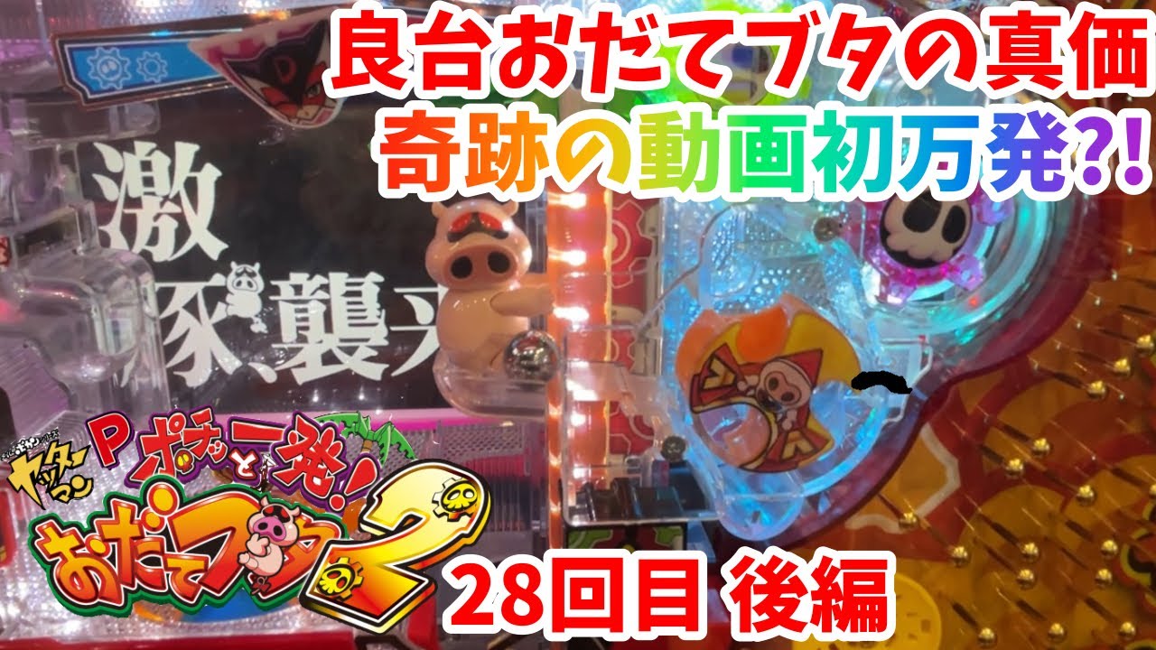 【おだてブタ2】良台(?)おだてブタで奇跡の動画初万発か？！28回目後編