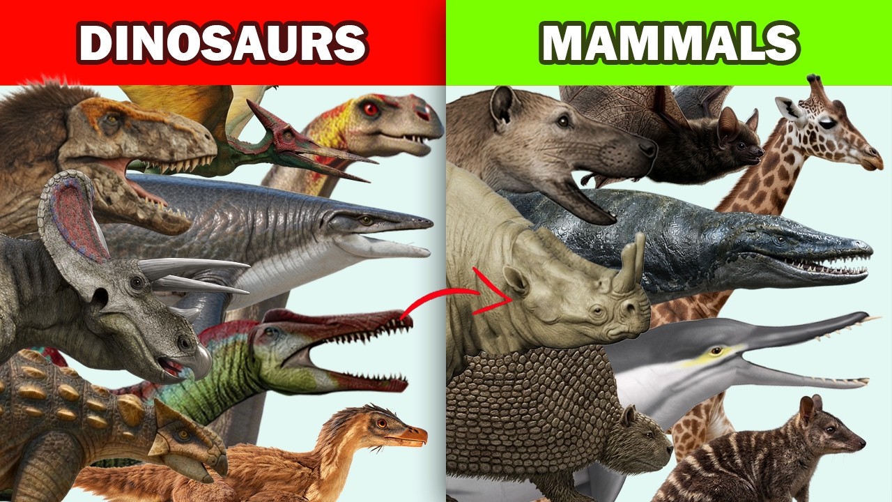 Dinosaurs and Mammals Lookalike Compared