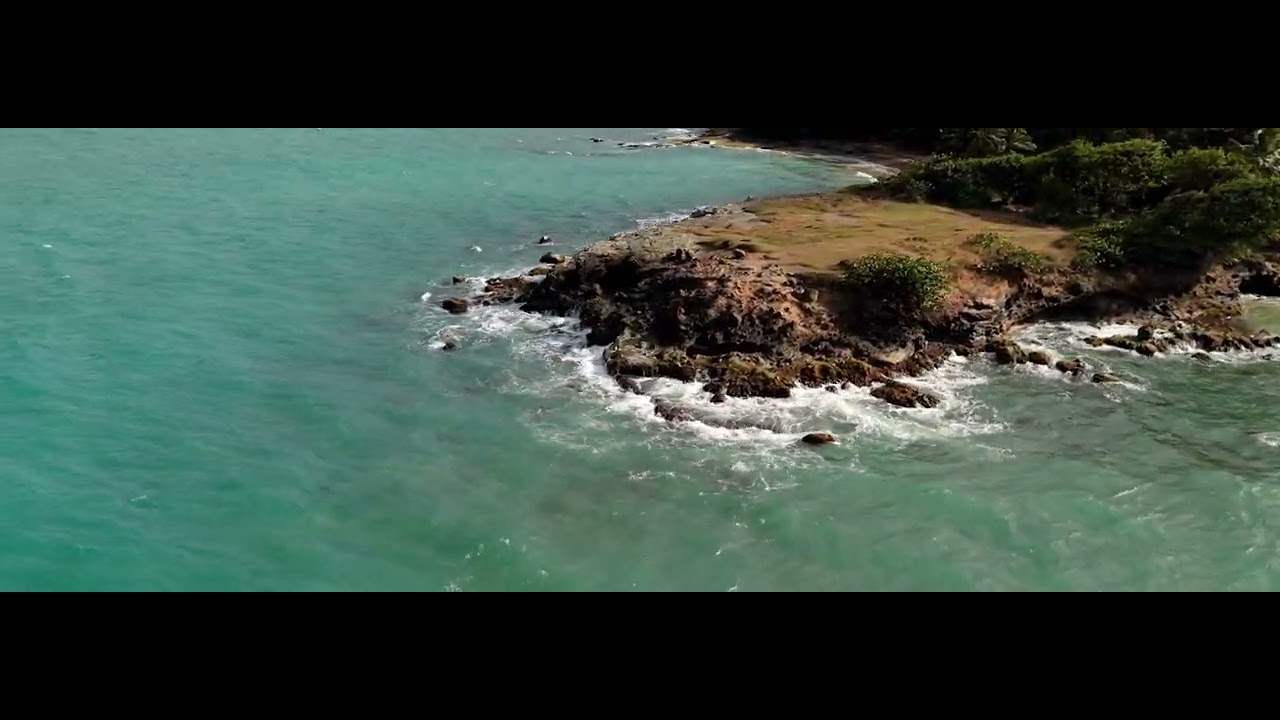 Trace des Amandiers en Guadeloupe