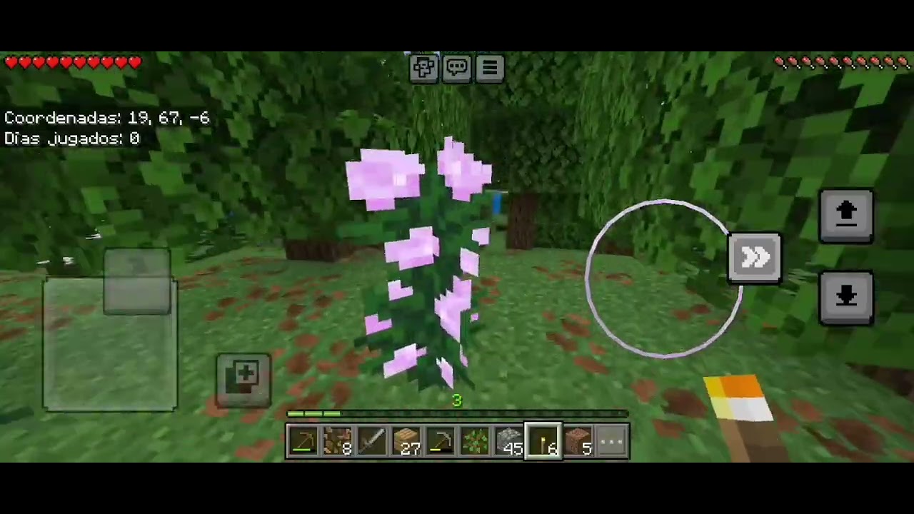 Jugando Minecraft #minecraft