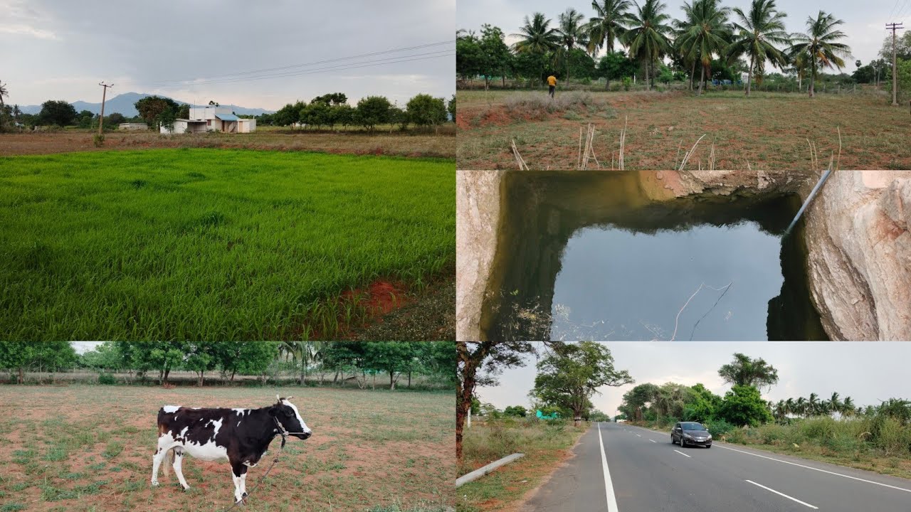 திண்டுக்கல் ஒட்டன்சத்திரம் to வேடசந்தூர் செல்லும் தேசிய நெடுஞ்சாலையில் 3 ஏக்கர் விற்பனைக்கு#agri