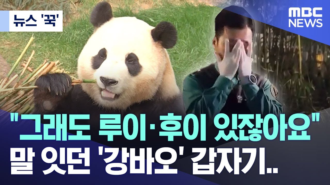 [뉴스 '꾹'] 