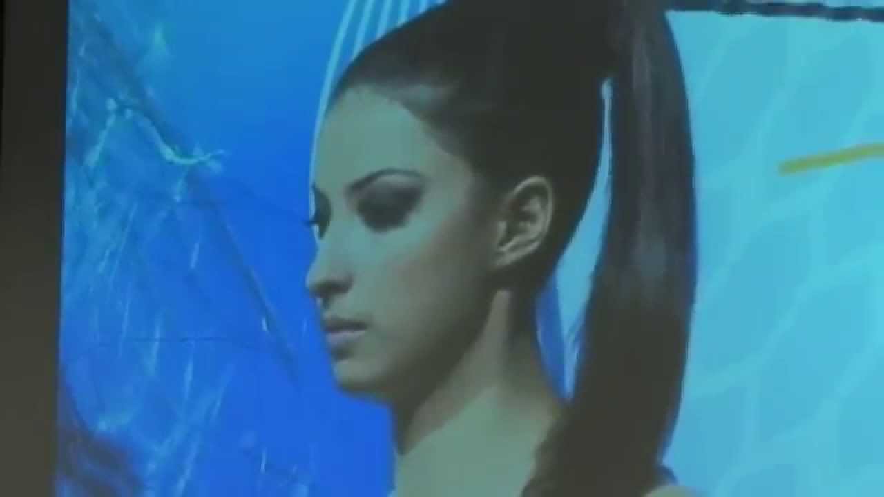 Coque Chic - Lauro Soares