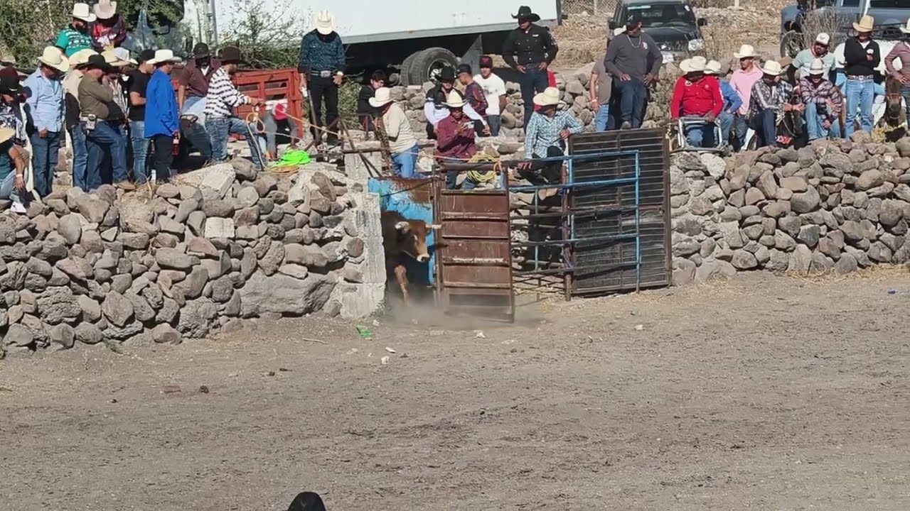 Toro Furia Roja | Ganadería La Explosiva - Jaripeo de la Estrella ⭐ San Fandila Querétaro 2026