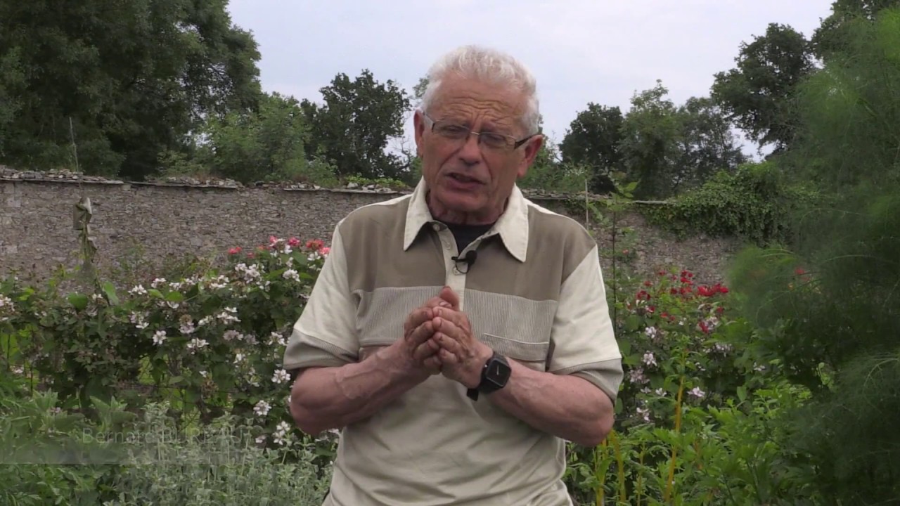 Comment ENTRETENIR le POTAGER ?