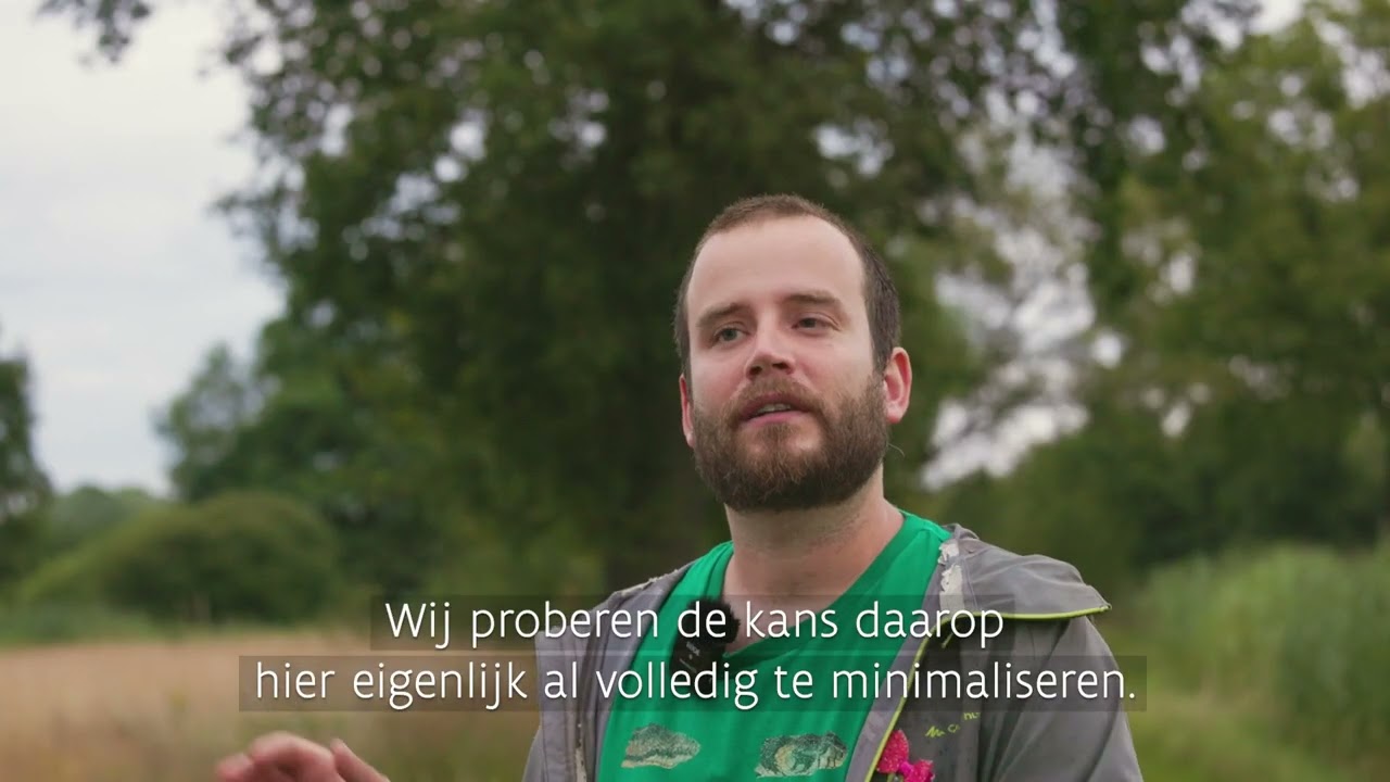 De uitzet van de knoflookpad | Natuur en Bos