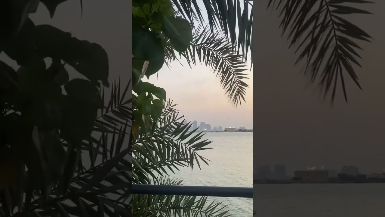 #bahrain #sea #shortvideo #اكسبلور #shorts