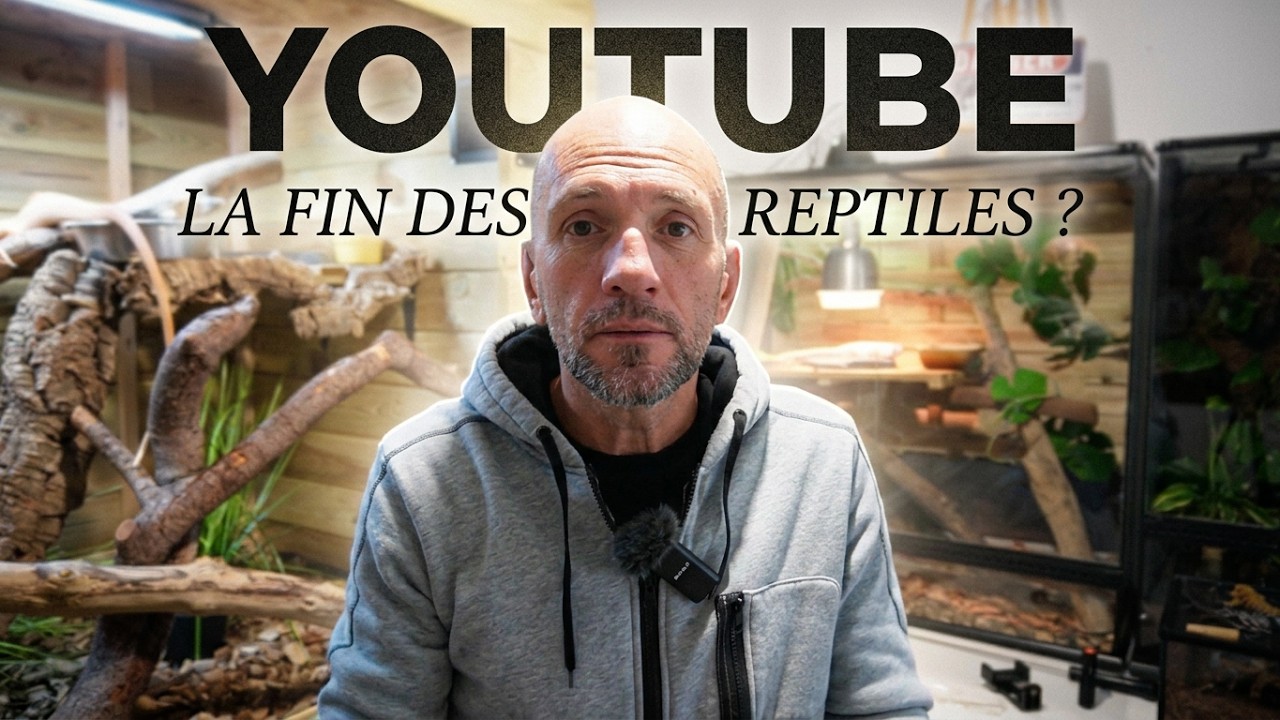 La fin des cha&icirc;nes reptiles sur YouTube? Chronique d'une fin annonc&eacute;e