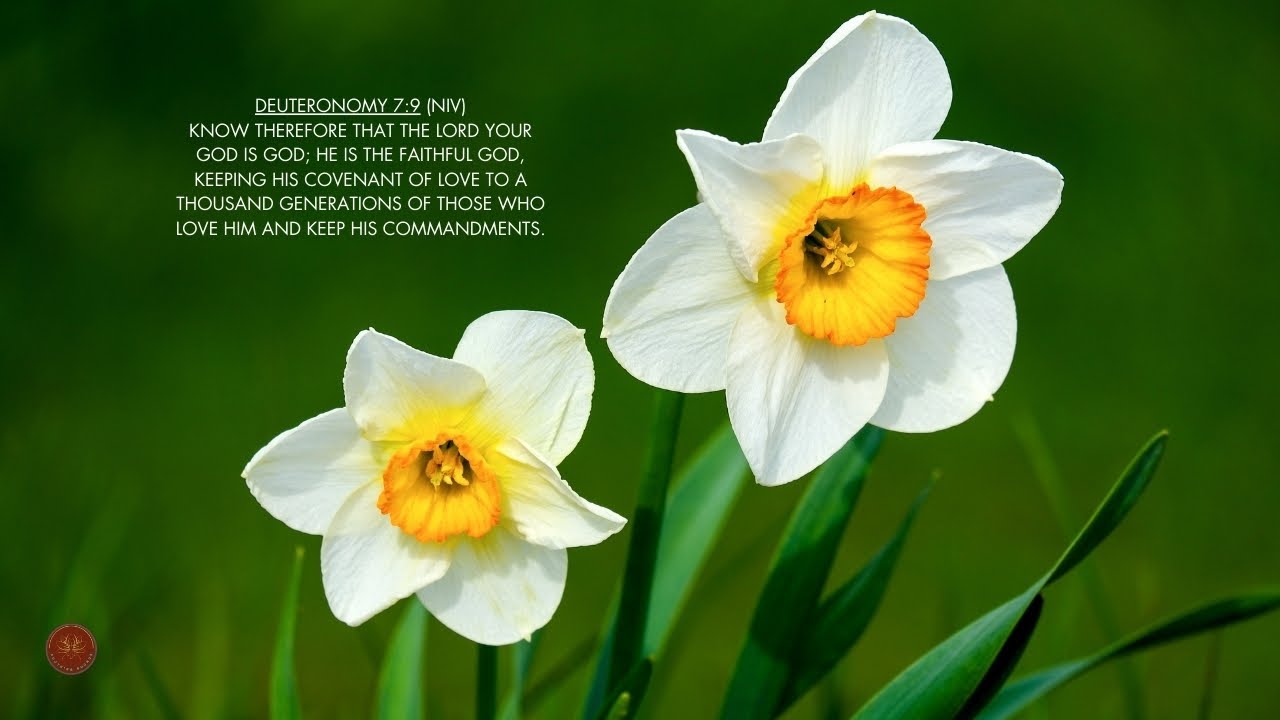 A Season of Renewal #thinkspring #stressrelief #faith