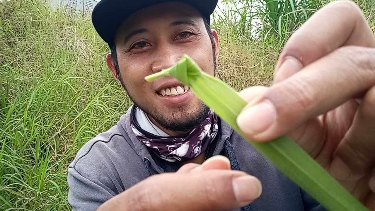 TUTORIAL CARA MEMBUAT dan MEMASANG UMPAN RUMPUT /SUKET ANDALAN...untuk MANCING IKAN TAWES..👍👍👍