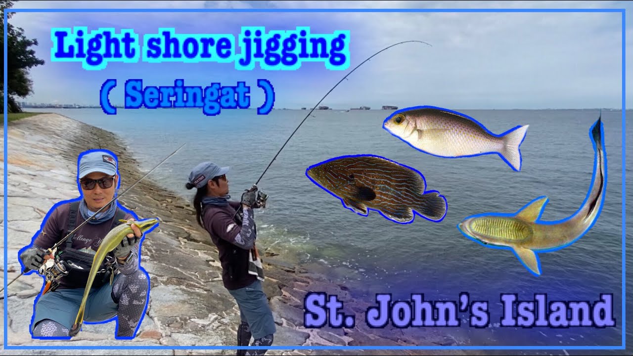 DQ Light shore jigging/ Southern Island Adventure ep4 / Seringat #fishinginsingapore