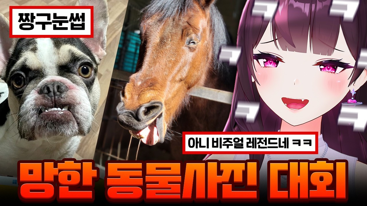 뭐 이렇게 생긴 동물이 다 있어ㅋㅋㅋㅋㅋ - 레전드 웃긴 망한 동물짤 대회