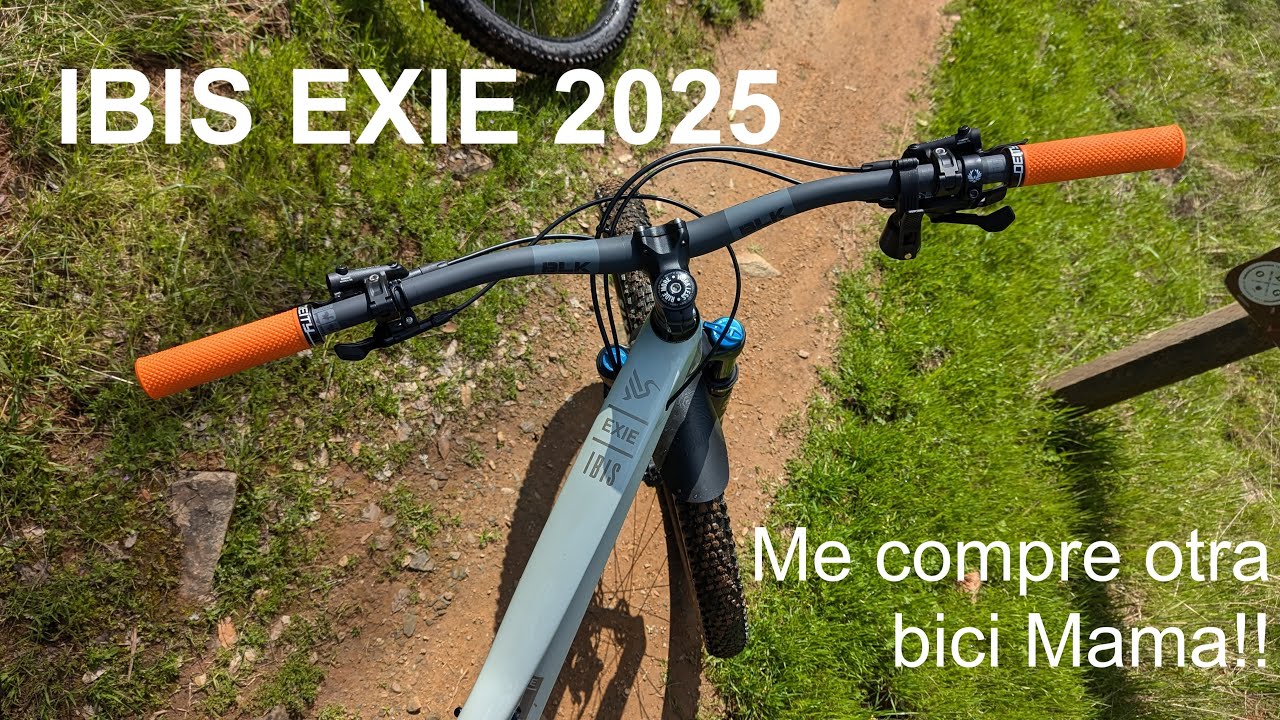 Ibis Exie For All 2025