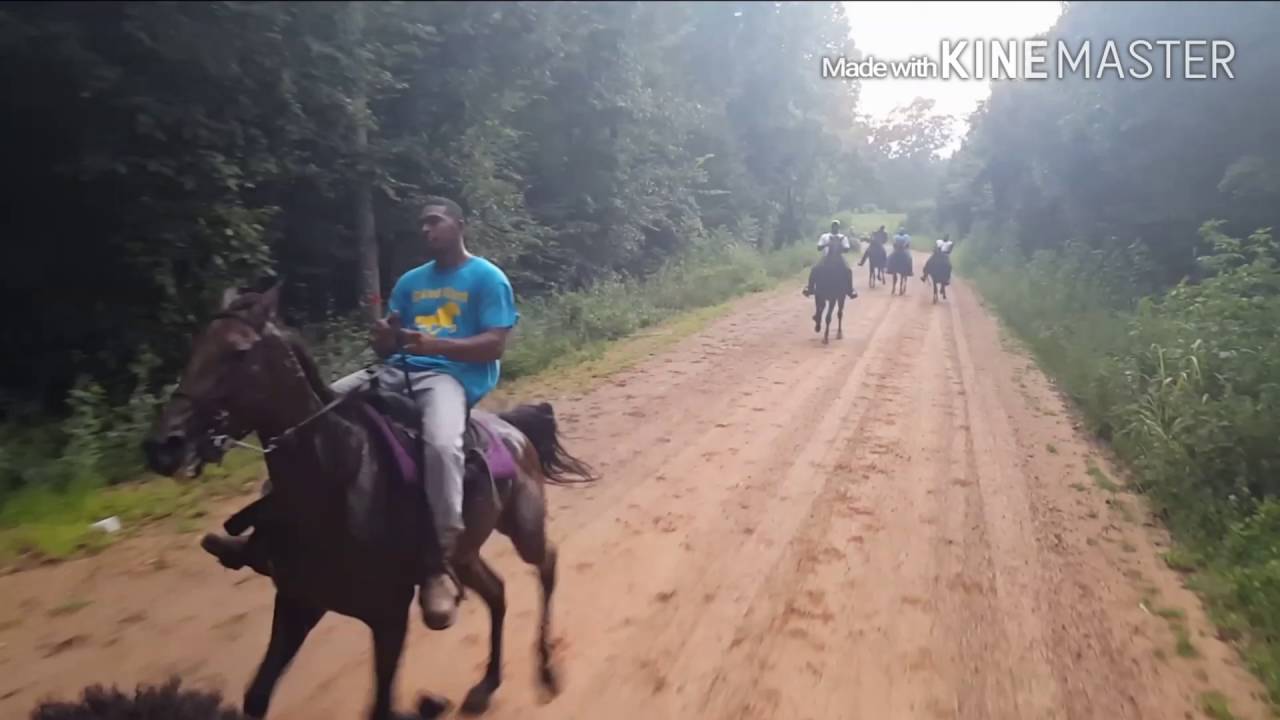 Single footing and a lil pacing on dirt!!!!