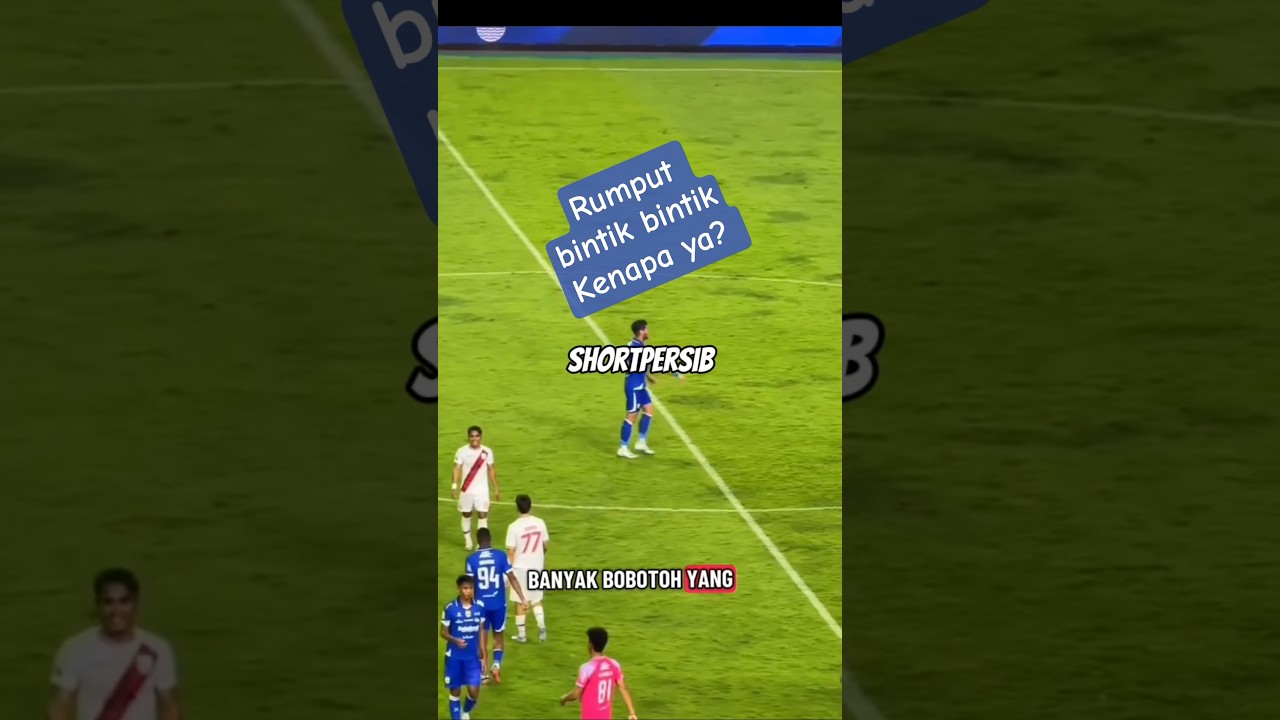 Fakta di Balik Rumput GBLA yang Bintik-Bintik! Ternyata Gara-Gara Bobotoh?! 😱#Persib #GBLA #Bobotoh
