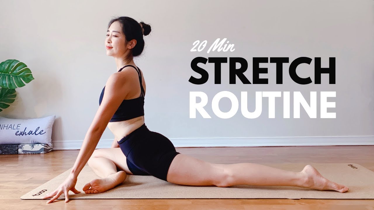 20 MIN STRETCH ROUTINE (No Talking) For Posture, Back Pain, & Flexibility | 허리통증에 좋은20분 데일리요가