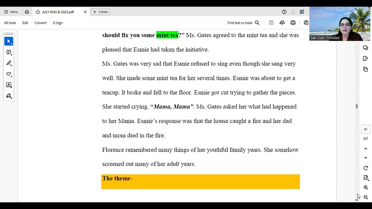CSEC ENG B - Prose Analysis - Mint Tea by Christine Craig