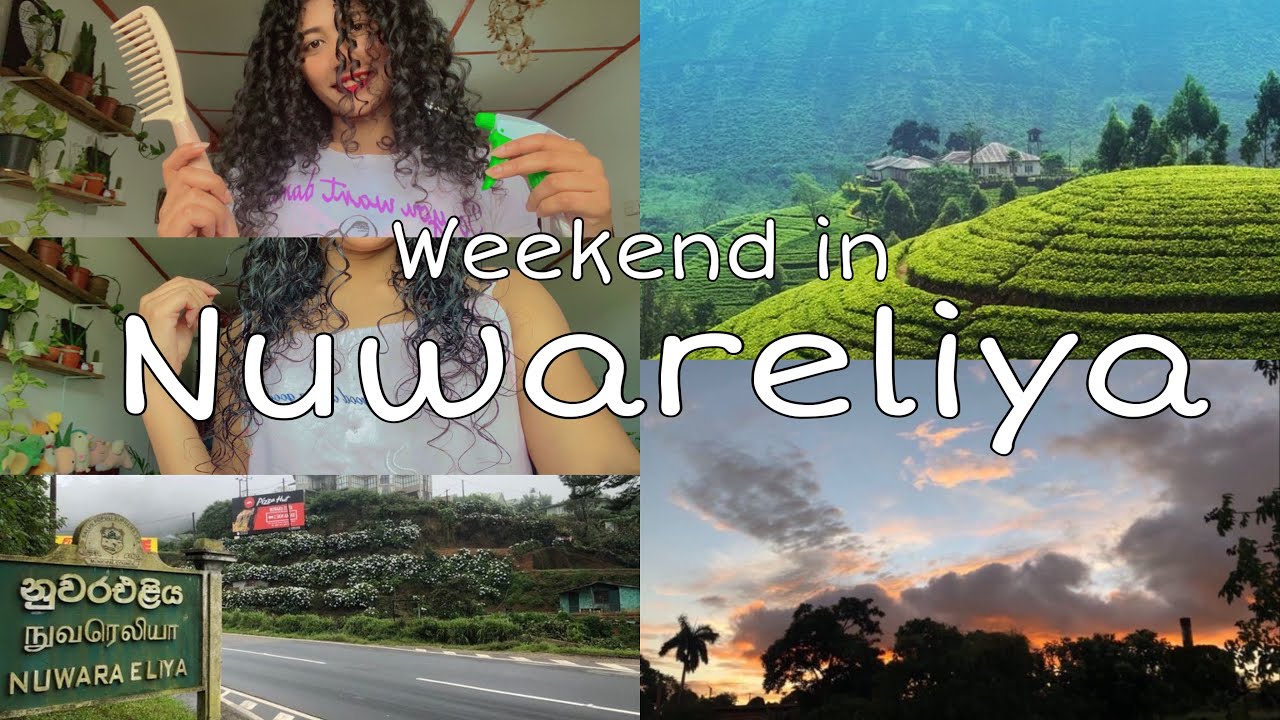 Day vlog🌈|නුවරඑළියෙ සතිඅන්තයෙන් දවසක් ❄️🌧️| | table tour🪴|curly hair routine| studying 📚