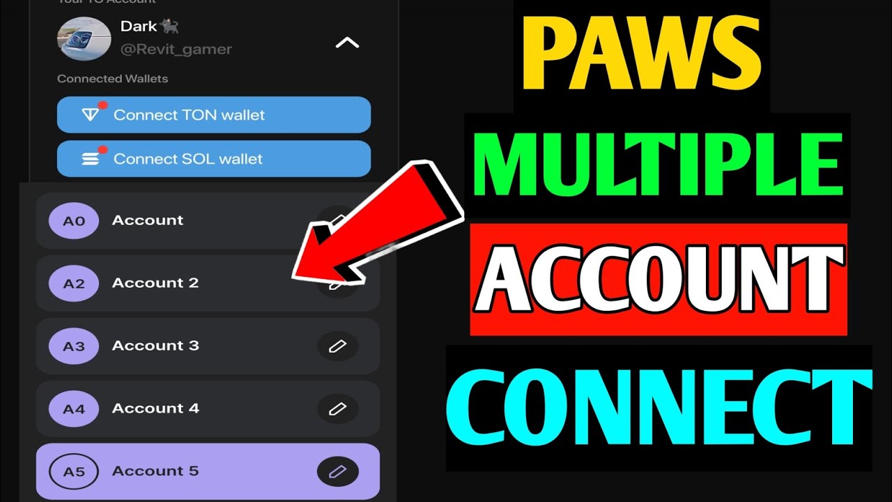 Multiple Accounts Wallet Connect Paws | Paws Phantom Wallet Connect Problem|Paws Multiple ID Connect