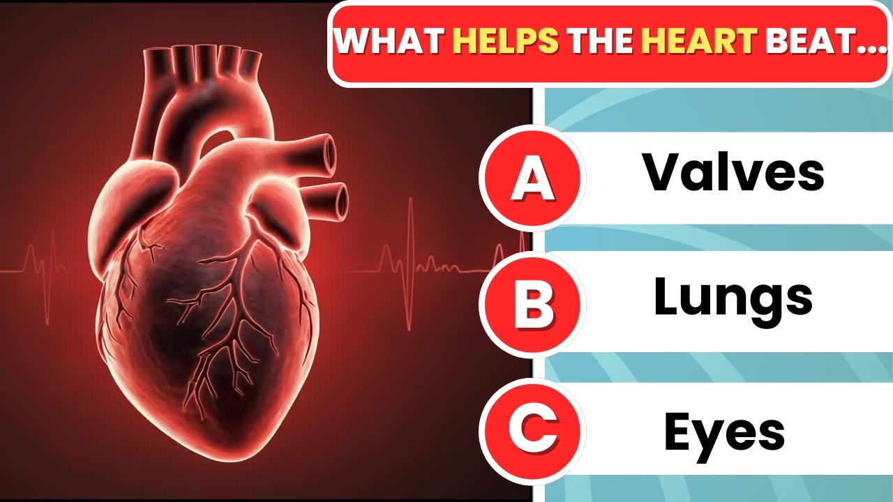 Can You Pass This Human Body Quiz | Human Body Challenge