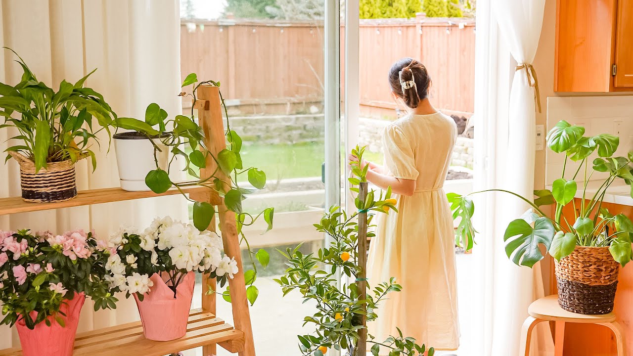 8 Simple Ways To Make Your Home Smell Good | Cleaning Routine