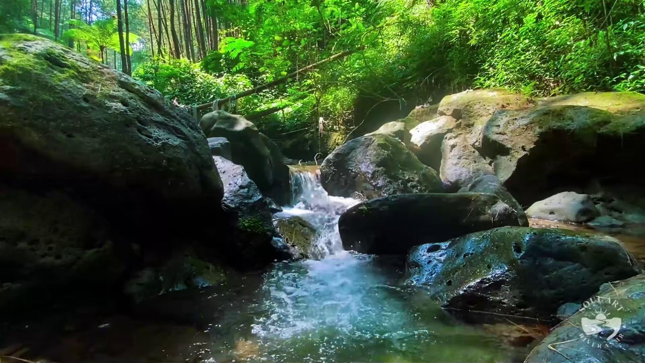 River Sounds & waterfall Sounds for Sleeping | Nature Stream for Relaxing & Stress Relief. #river 4