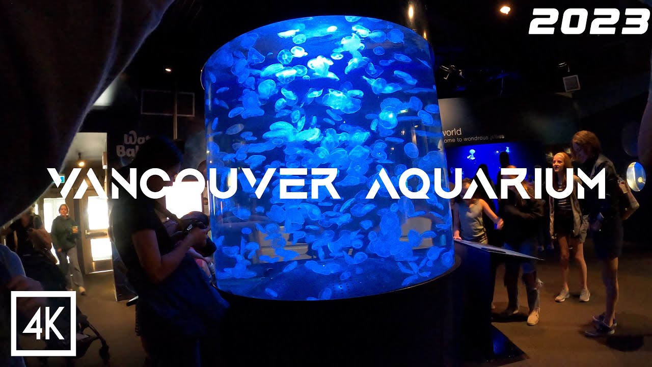 Vancouver Aquarium 2023 | Vancouver | British Columbia | Canada