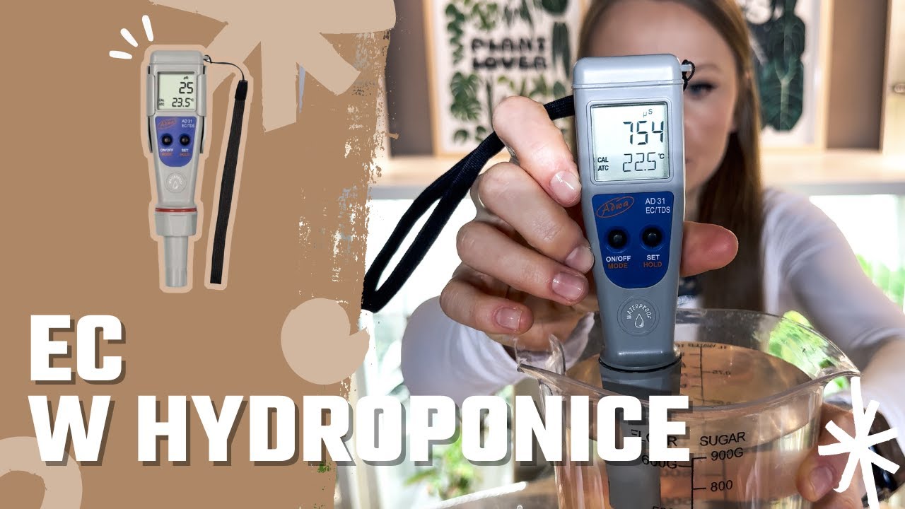 EC W HYDROPONICE 💦 / Mierzenie EC / EC martwe / Miernik EC / Podstawy hydroponiki
