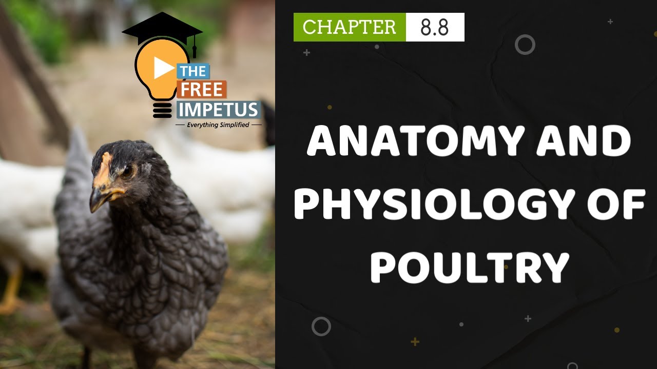 8.8 ANATOMY AND PHYSIOLOGY OF POULTRY- For VHSE LSM, DIPLOMA AND LIVESTOCK INSPECTOR  PSC COACHING
