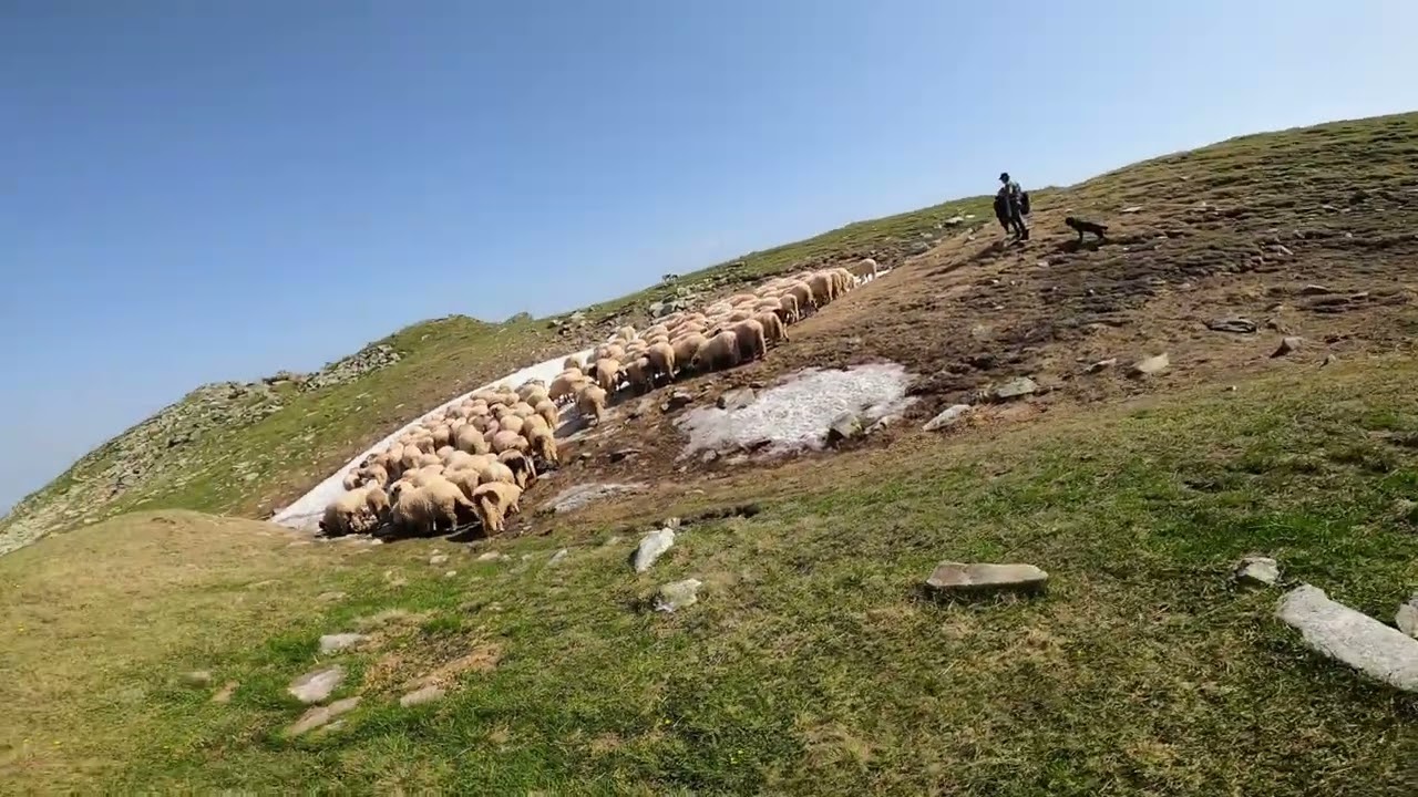 Muntii Parang Iulie 2021. Privelisti de vis si lacuri inghetate cu apa de turcoaz.