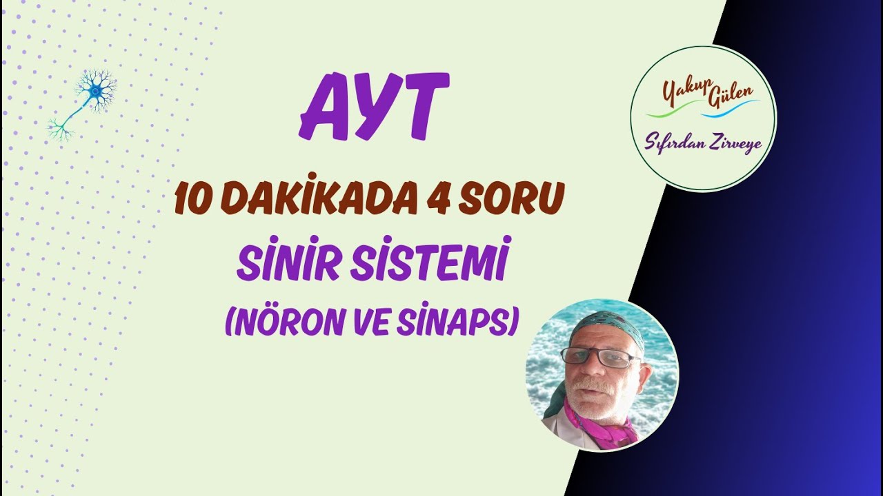 2026 AYT Biyoloji | ❓SİNİR SİSTEMİ | 🚀 Sıfırdan Zirveye