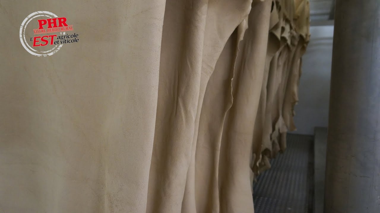 Tanneries Haas : De la peau au cuir