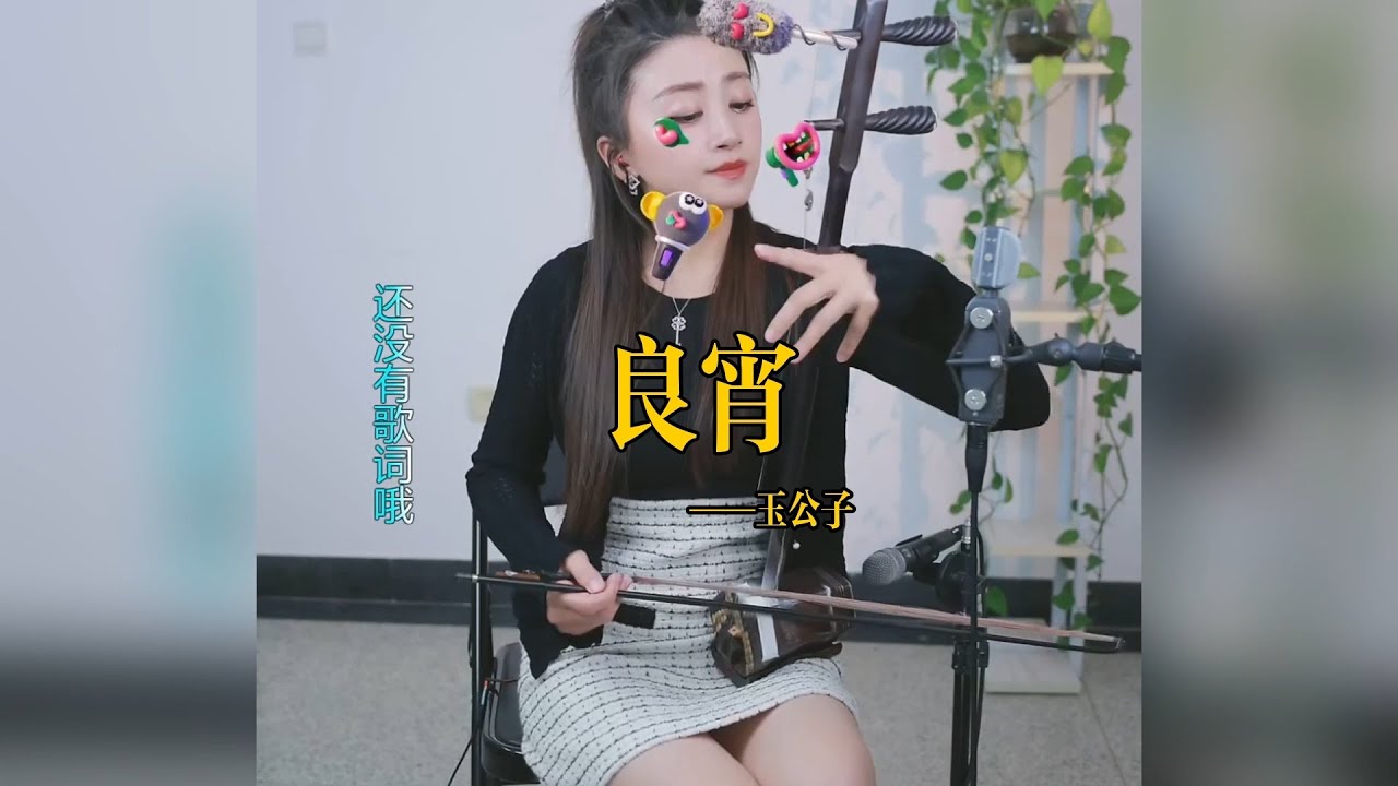 【玉公子】《良宵》 玉公子jade son    國樂 乐器演奏 二胡 中國樂器 Chinese music