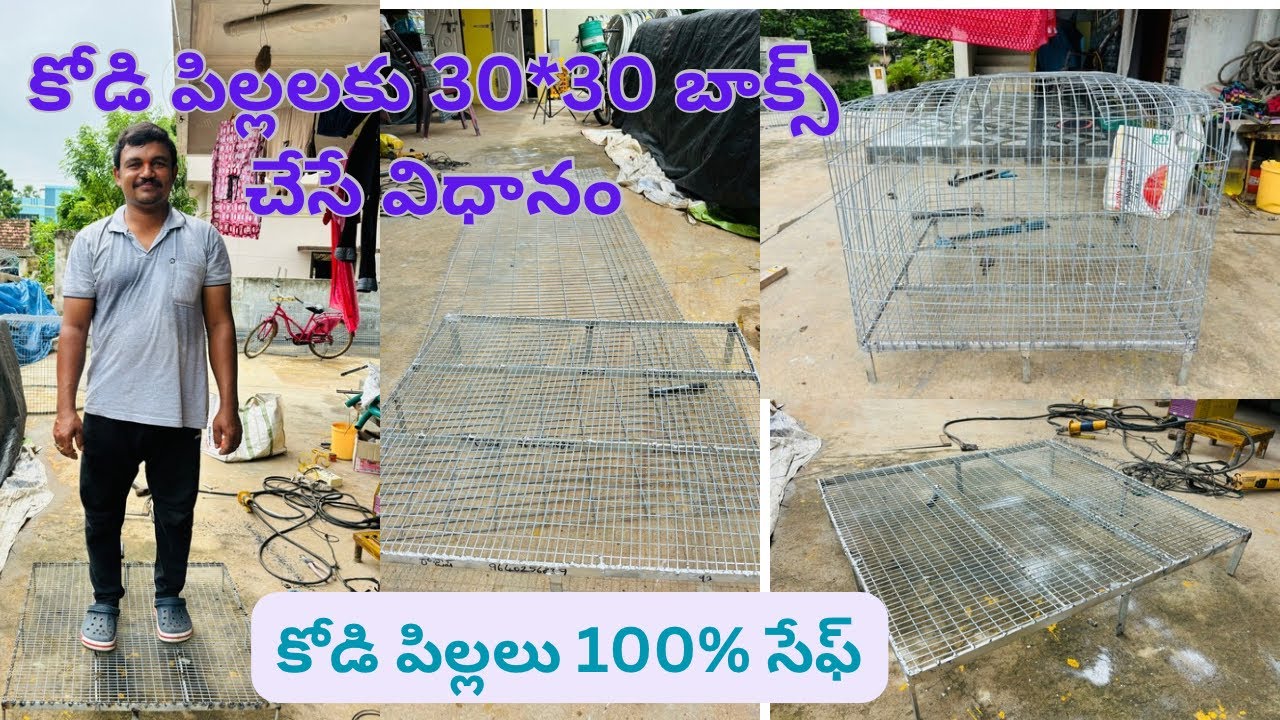 23 July 2024 కోడి పిల్లలకు 30*30 బాక్స్ చేసే విధానం#కోడి పిల్లలకు 100% సేఫ్