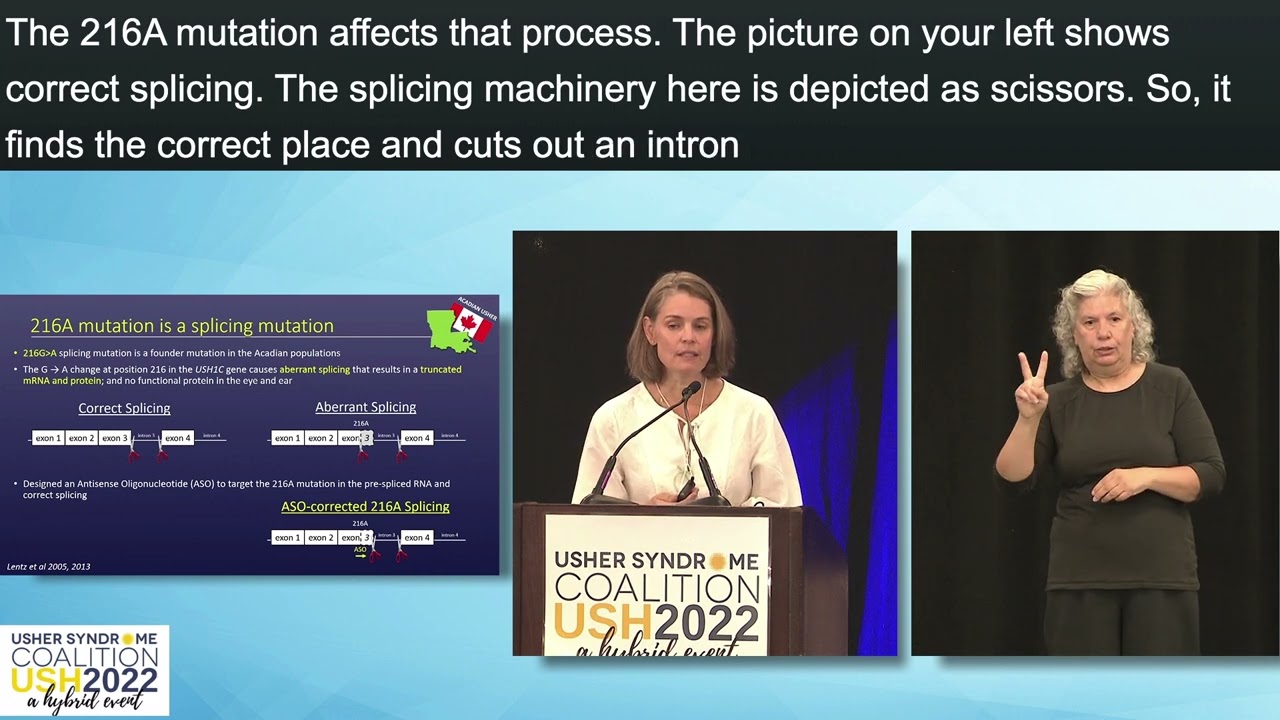 Progress in New Therapy Development with USH1C Animal Models