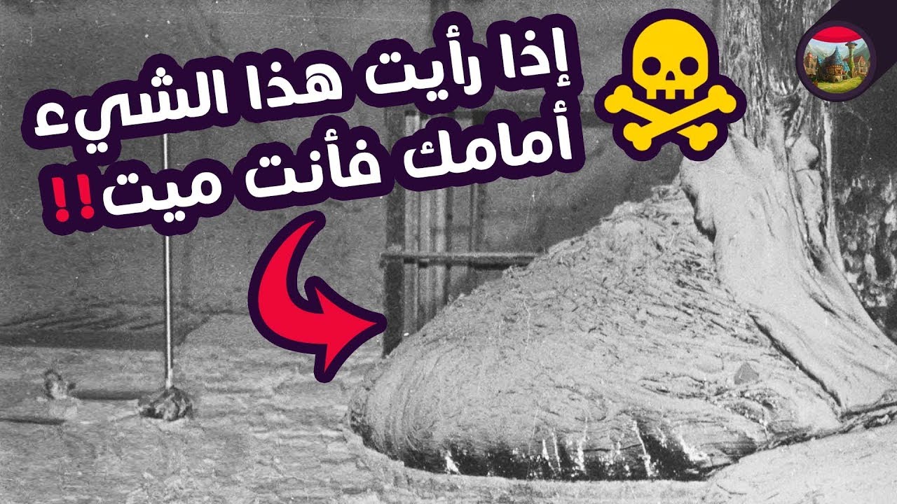 أخطر غرفة على وجه الأرض.. ممنوع الدخول إليها إلا بعد مئة ألف سنة