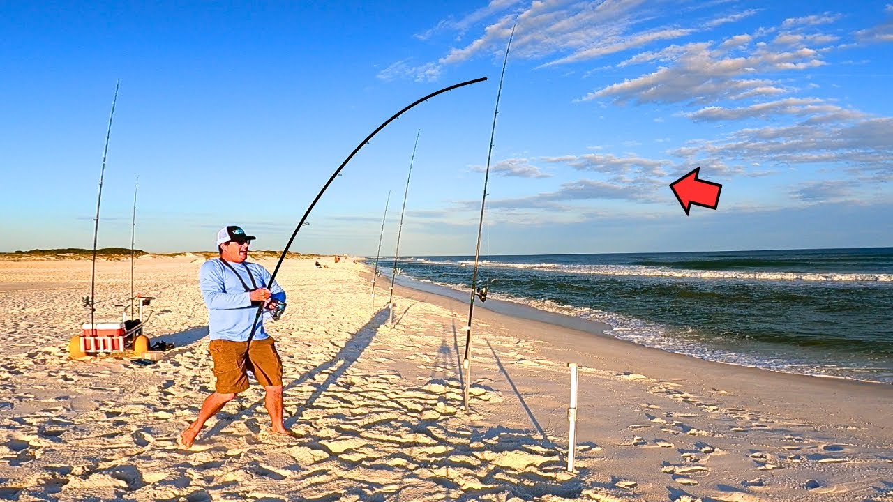 Surf Fishing the Sunset Bite and Caught This!