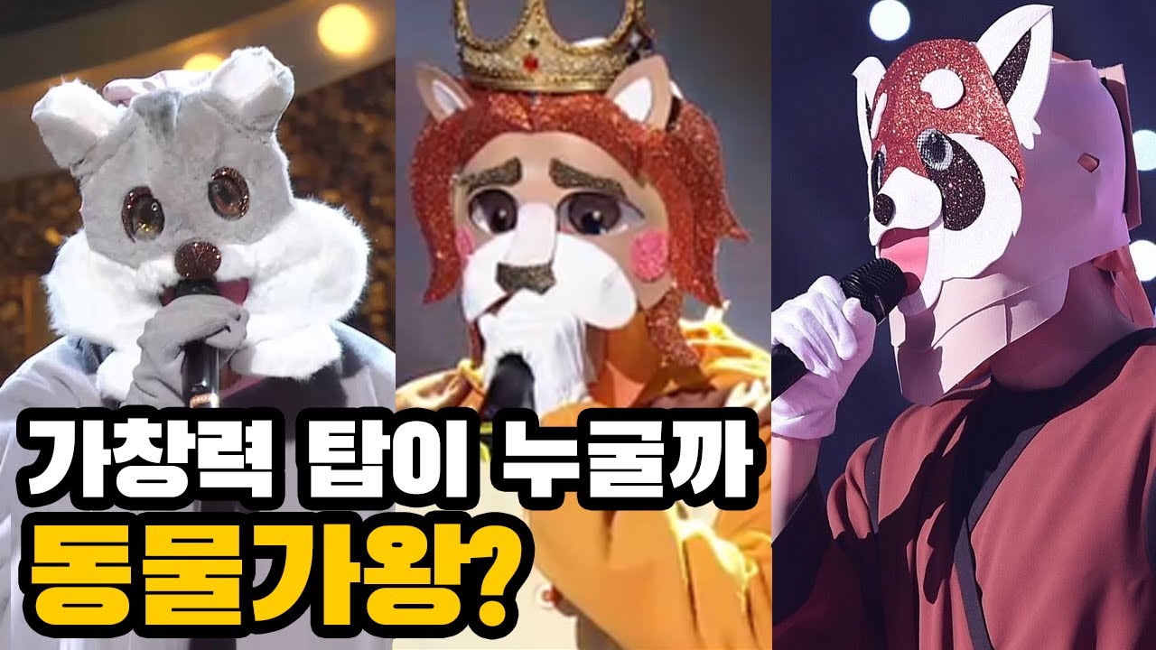 동물도 노래를 할까? 자연계의 가창력 탑은?! [최재천의 아마존]